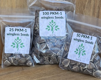 PKM-1 Moringa Seeds